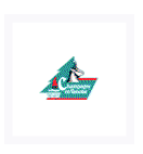 Logo Station